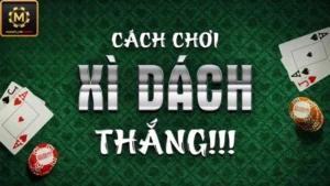 cách chơi xì dách luôn thắng