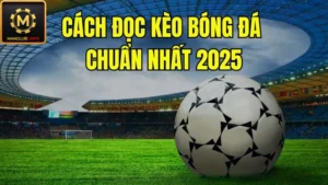 cách đọc kèo bóng đá tại Manclub chuẩn