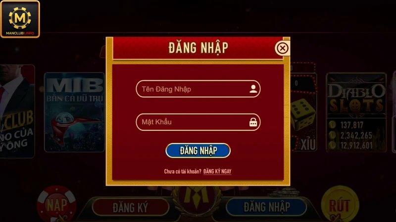 Nhập thông tin tài khoản game vào biểu mẫu mà hệ thống hiển thị